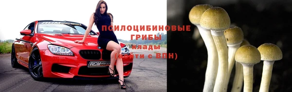 бошки Алексин