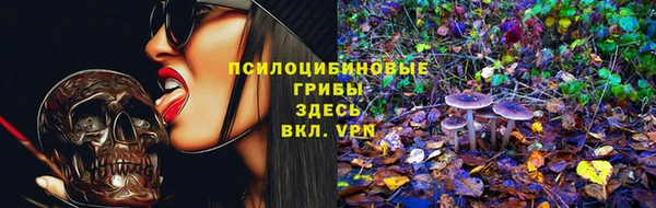 эйфоретик Алексеевка